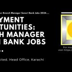 Soneri Bank Jobs 2024 Employment Opportunities: Branch Manager Positions Available