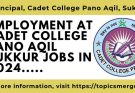  Employment at Cadet College Pano Aqil Sukkur Jobs In 2024